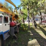 В Йошкар-Оле специалисты зеленого хозяйства готовят город к наступлению холодов