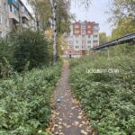 Популярный у йошкаролинцев короткий путь к школе №10 оброс множеством проблем
